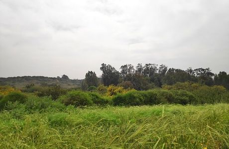 Alexander Stream Hof Bet Yanai National Park