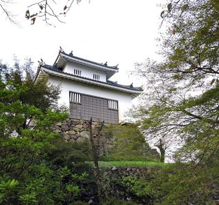 Echizen Ono Castle