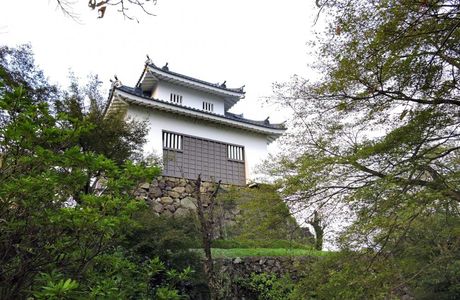 Echizen Ono Castle