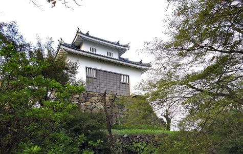 Echizen Ono Castle 1
