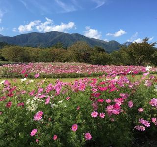 Alps Azumino National Government Park - Horigane/Hotaka