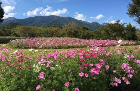 Alps Azumino National Government Park - Horigane/Hotaka