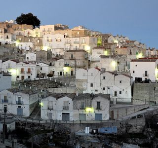 Lido Varcaro