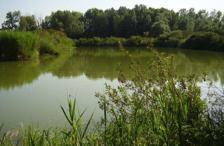 Riserva Naturale Gaggio Nord