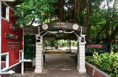 Snake Farm (Queen Saovabha Memorial Institute)