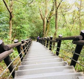 Shaolai Recreation Areas