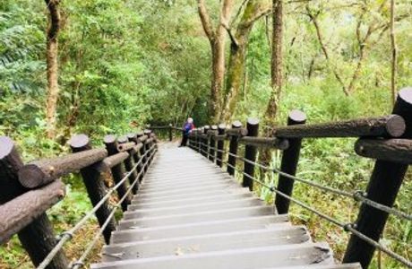 Shaolai Recreation Areas