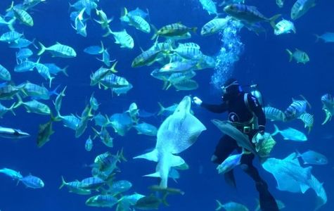 National Museum of Marine Biology and Aquarium 1