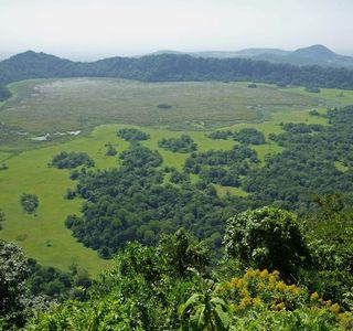 Ngurdoto Crater