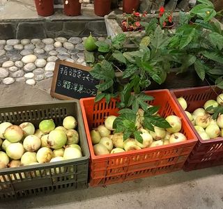 Sanfu Garden Farm