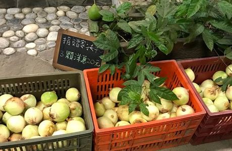 Sanfu Garden Farm