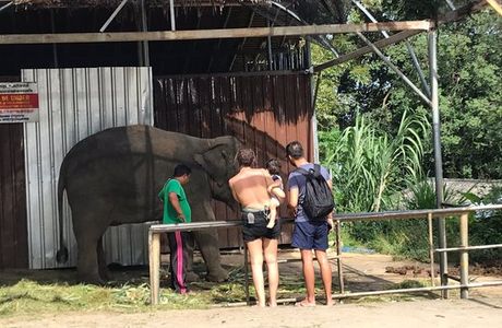 Phuket Safari ECO+