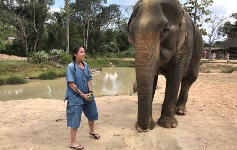 Maerim Elephant Sanctuary 1