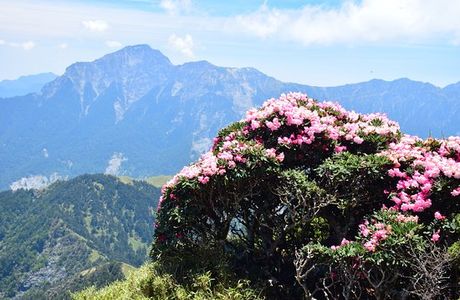 Hehuanshan East Peak Trail