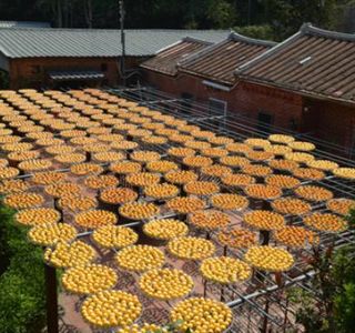 Jinhan Dried Persimmon