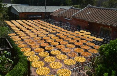 Jinhan Dried Persimmon