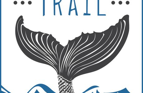 New Brighton Mermaid Trail