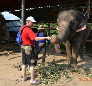 Ban Chang Thai - Elephant Camp