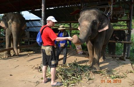 Ban Chang Thai - Elephant Camp
