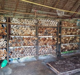 Daeng Mushroom Farm