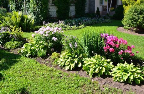 Botanical Garden-Institut