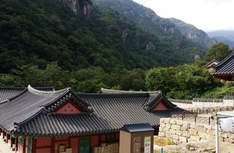 Mureung Valley