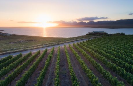 Benguela Cove Lagoon Wine Estate