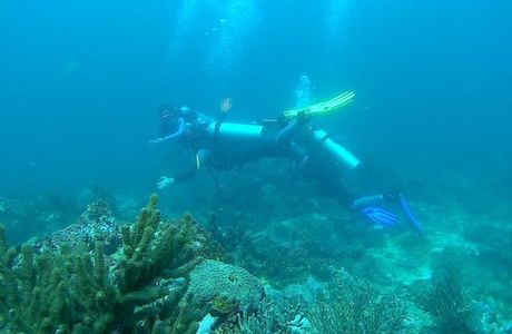 Scotty's Action Sports Network, Inc. Boracay