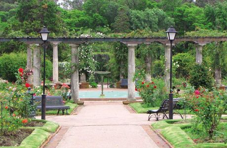 Jardín Botánico
