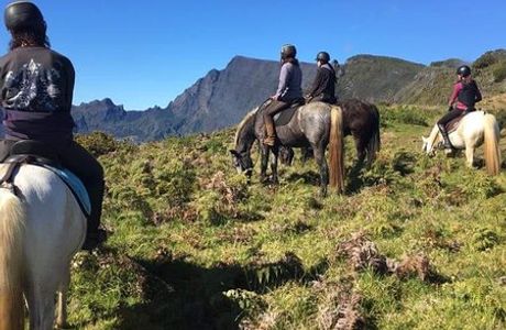Les Chevaux du Maido