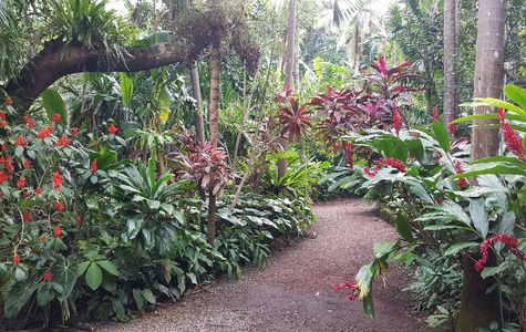 Jardin des Parfums et des Epices 1