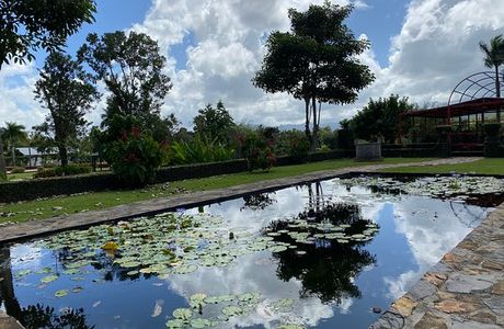 Jardin Botanico y Cultural William Miranda Marin