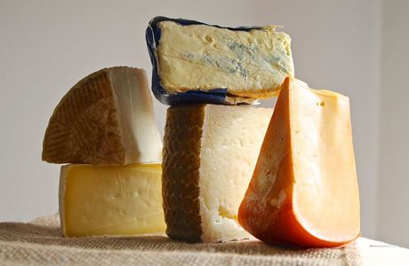 Queso Project