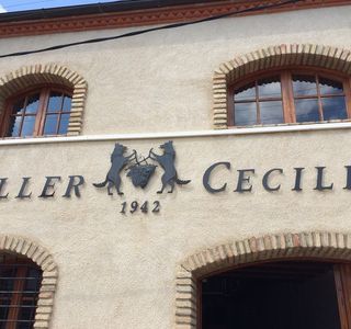 Celler Cecilio
