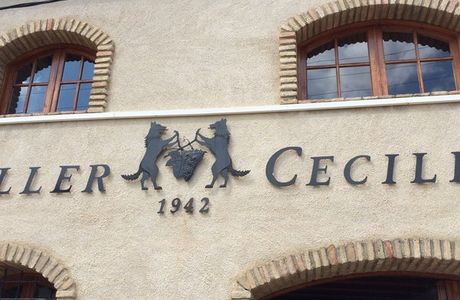 Celler Cecilio