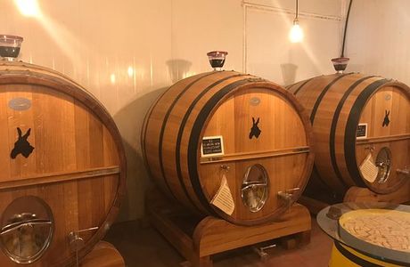 Celler Ronadelles (Cap de Ruc)