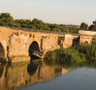 Castilla-La Mancha Bridge