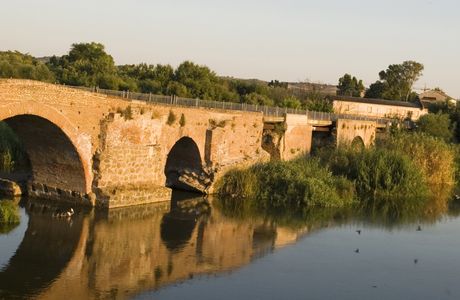 Castilla-La Mancha Bridge