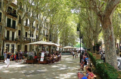 Passeig des Born