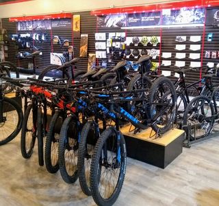 Gator Cycling