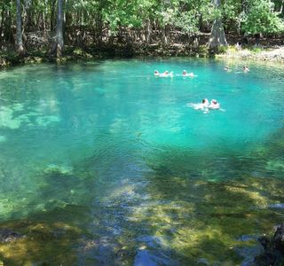 Manatee Springs