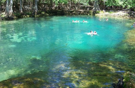 Manatee Springs