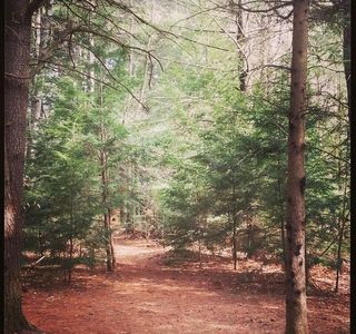 Sunny Brook State Park