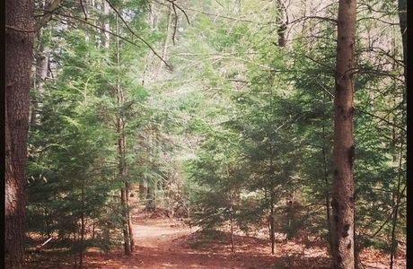 Sunny Brook State Park