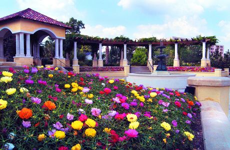 Hollis Garden
