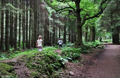 Beecraigs Country Park