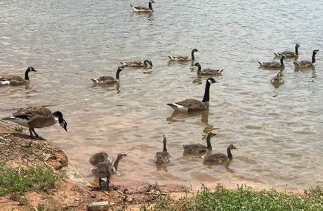 Martin Wildlife Park Trail