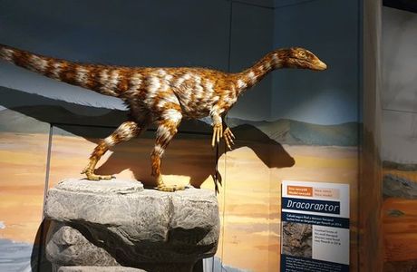 Porthcawl Museum