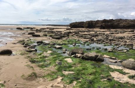 Newton Bay Beach
