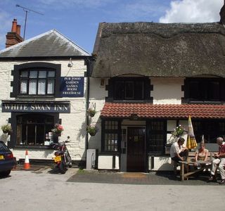The Swan and Helmet